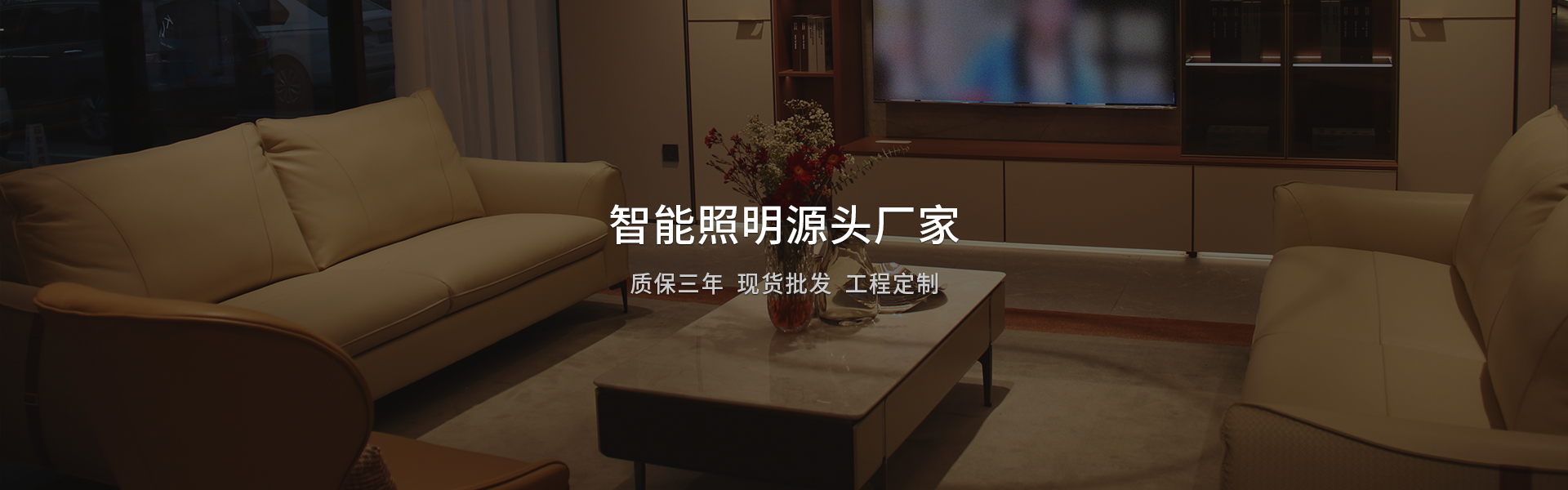 智能照明源頭廠家